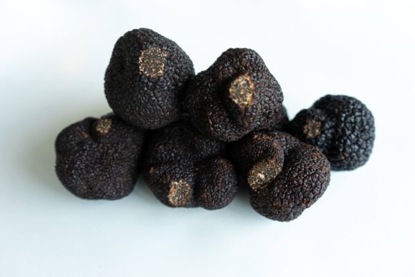 Truffes Noire